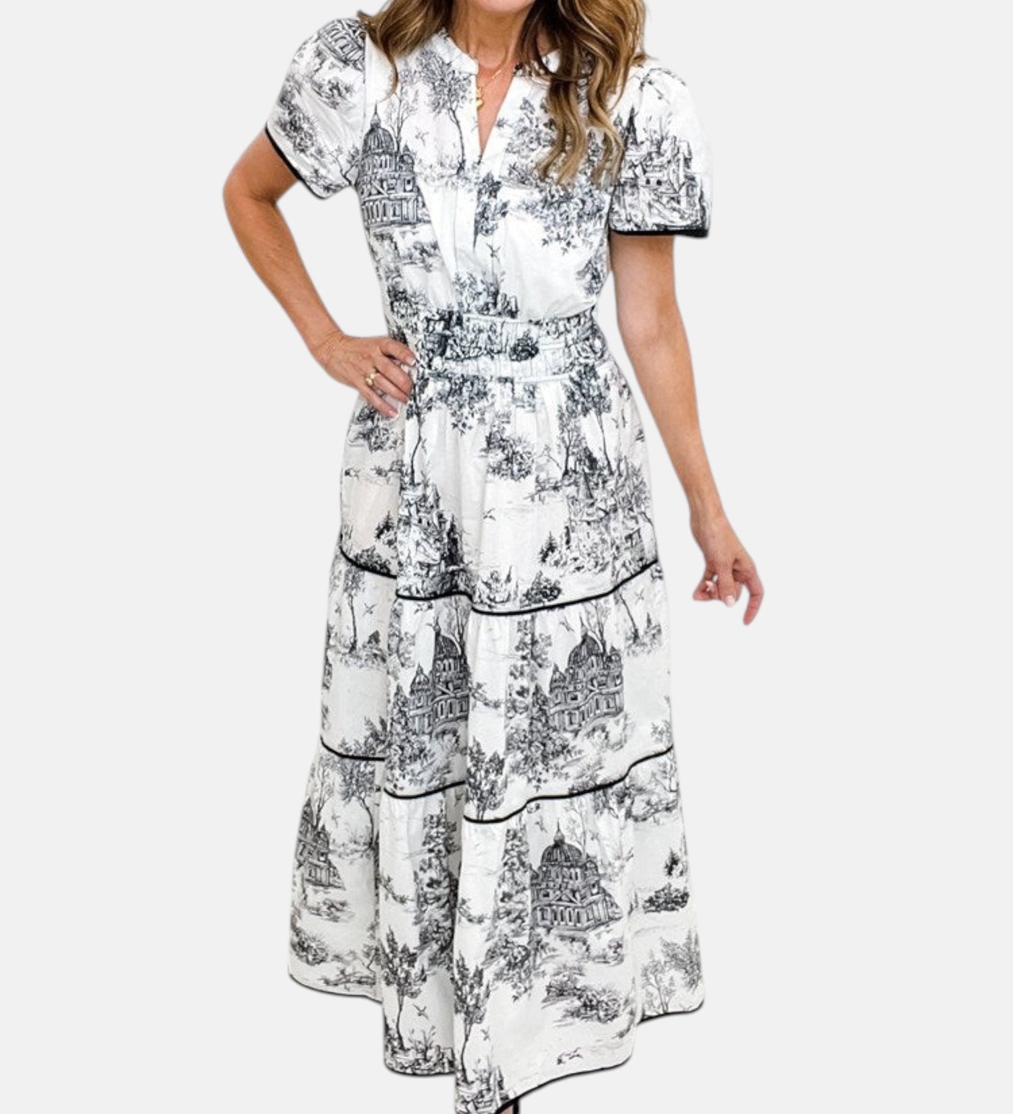 Alejandra - Vestido largo clásico con estampado toile